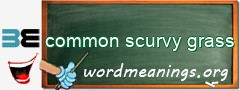 WordMeaning blackboard for common scurvy grass